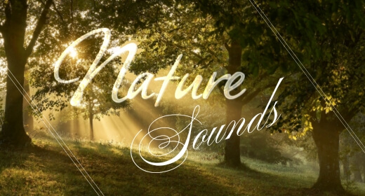 Nature Sounds